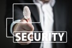 identity - fingerprint